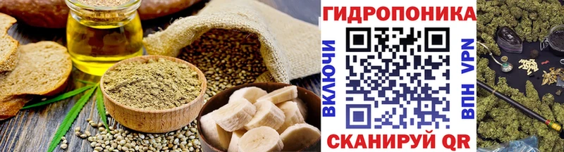 MEGA tor  купить наркотики цена  Светлогорск  Печенье с ТГК марихуана 