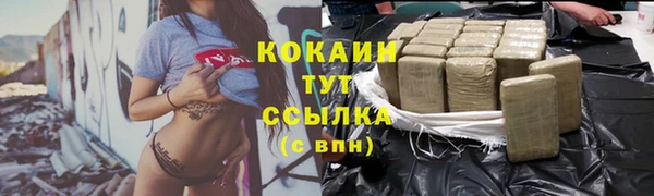 крисы Богородск