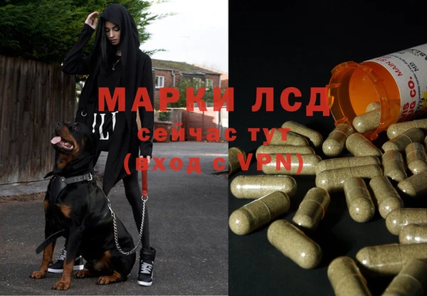 крисы Богородск