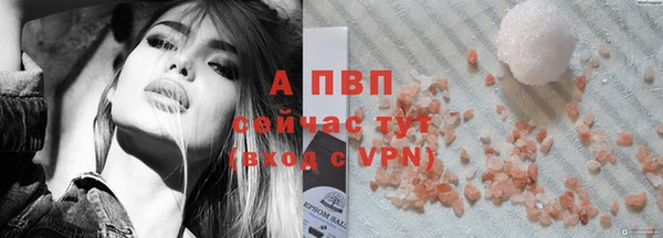 стаф Семилуки