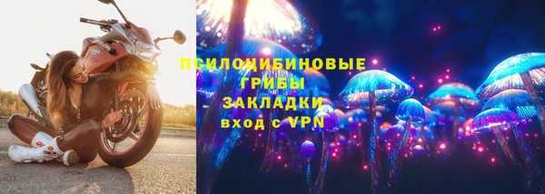 2c-b Белокуриха