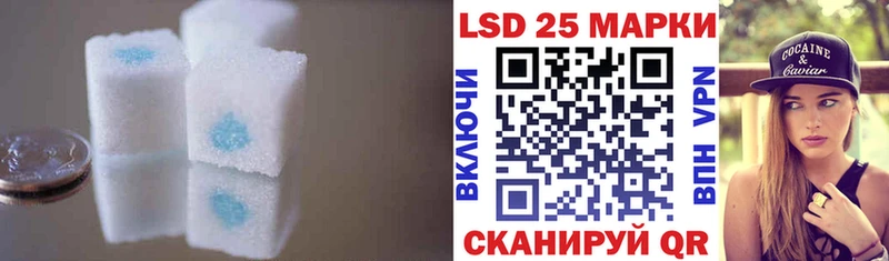 ЛСД экстази ecstasy  даркнет сайт  Светлогорск 