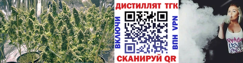 Дистиллят ТГК вейп с тгк  Светлогорск 
