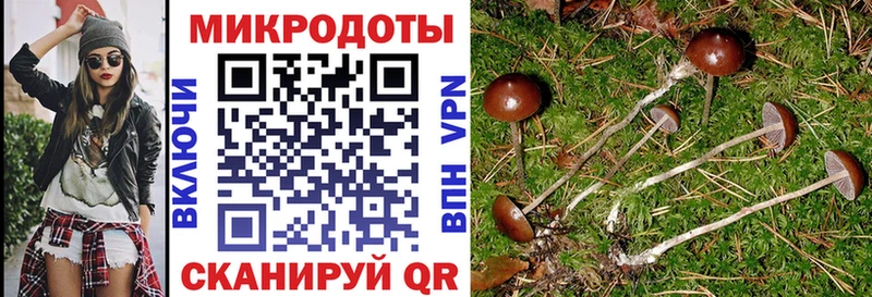 mega вход  Светлогорск  Псилоцибиновые грибы GOLDEN TEACHER  сколько стоит 